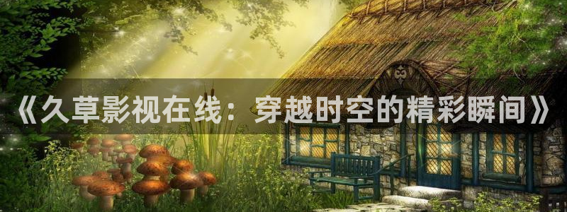 国产一区视频不卡