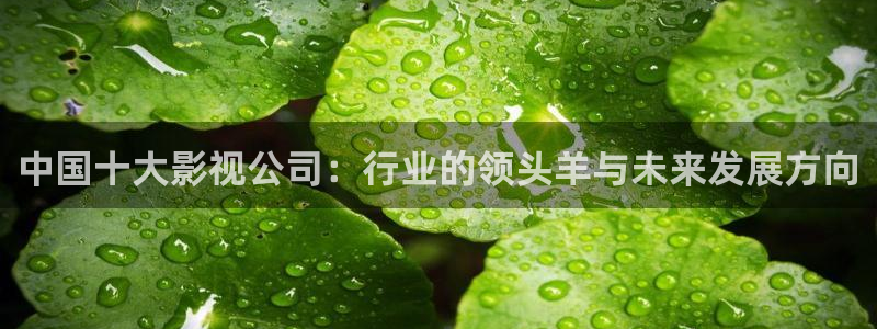 欧美一区二区三区不卡电影