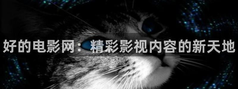 ppypp午夜限制不卡影院私人