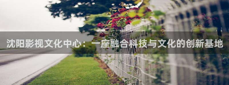 日本免费高清视频不卡