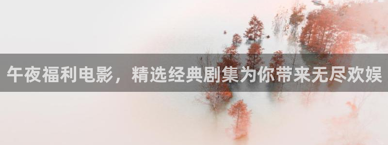 日韩不卡视频一区二区
