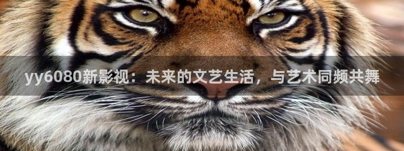日本不卡一区二区三区高清视频：yy6080新影视：未来的文艺生活，与艺术同频共舞