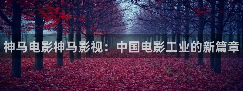 电影电影我不卡