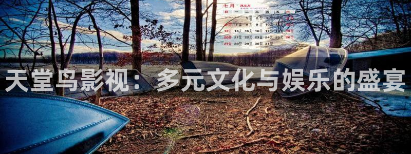 三级理论影院在线中文不卡：天堂鸟影视：多元文化与娱乐的盛宴