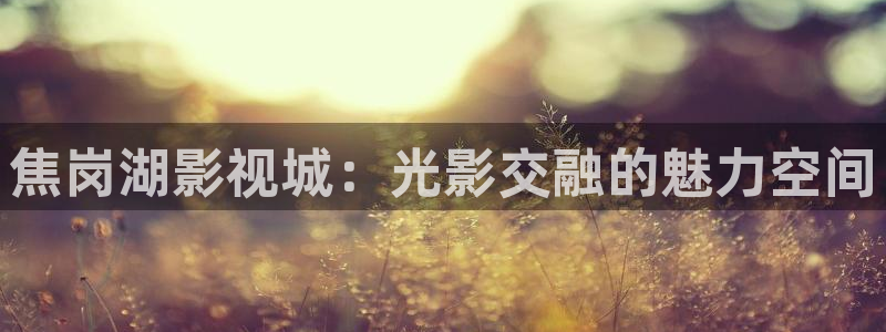 一区三区三区高清不卡