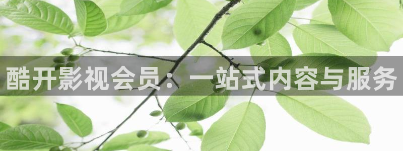 不卡影院午夜理论片